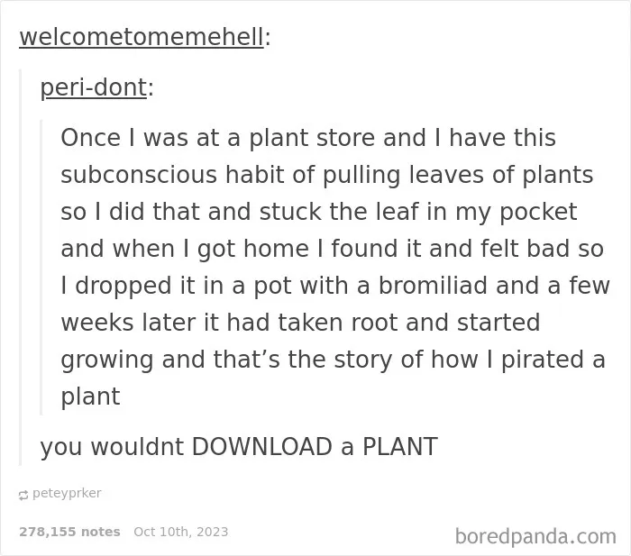 Squeaky-Clean-Humor