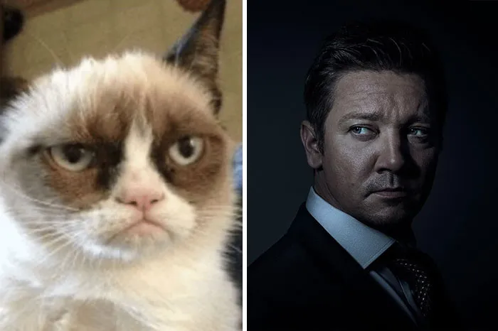 30 Celebridades y sus parecidos razonables más divertidos
