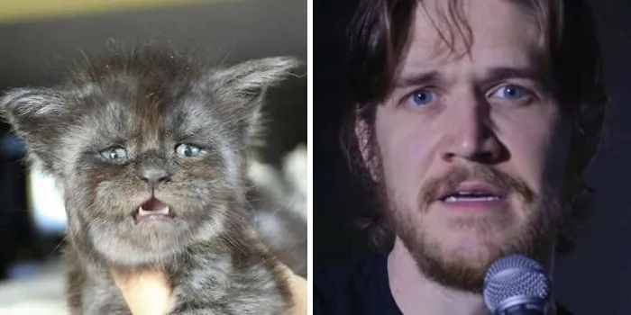 30 Celebridades y sus parecidos razonables más divertidos