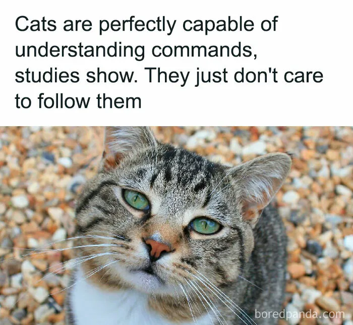 50 ‘Unbelievable Facts’ To Help You Ace Trivia Night (New Pics)