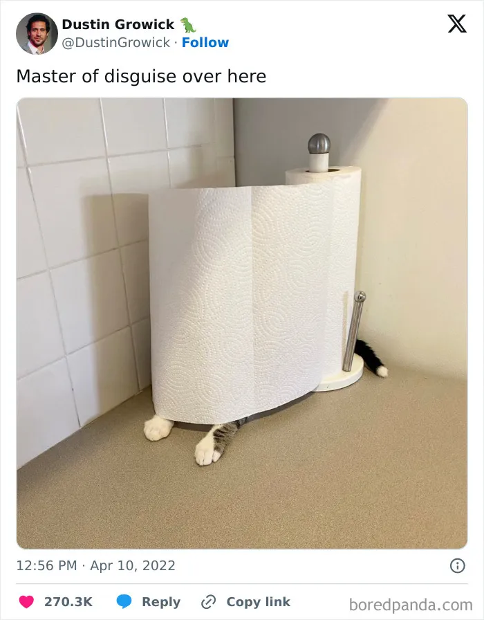 50 Of The Best Memes, As Shared On "Beige Cardigan" Account