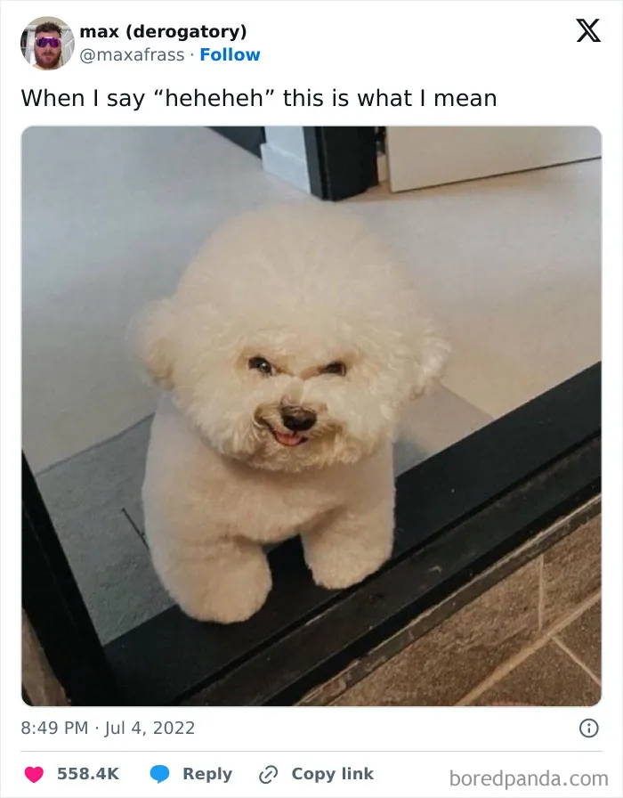 50 Chucklesome Memes That Make The Perfect Blend Of Animals And Comedy
