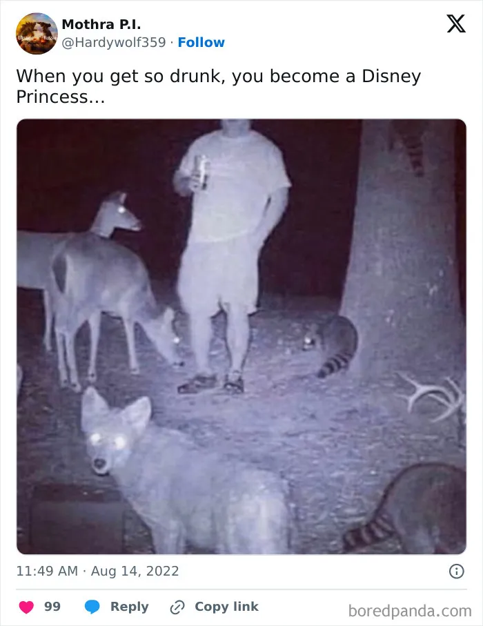 50 Hilarious Animal Memes From This Instagram Page