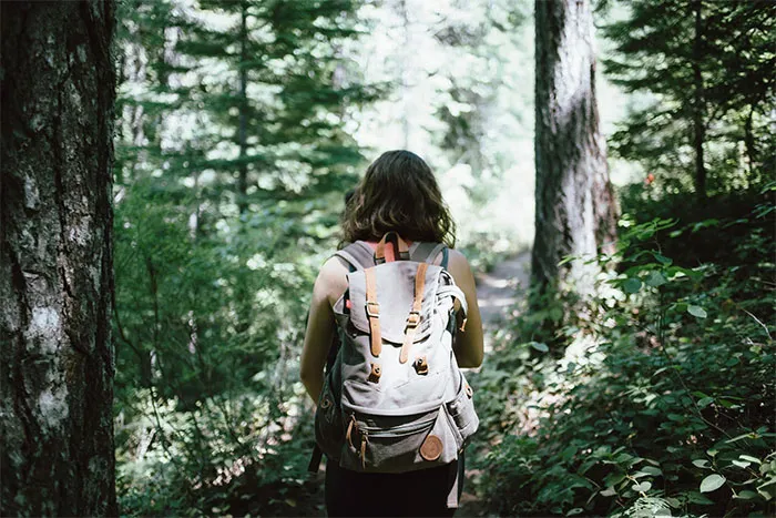 “Not Worth The Rabies Shots”: 50 Life-Saving Tips On What Not To Do When Visiting The US