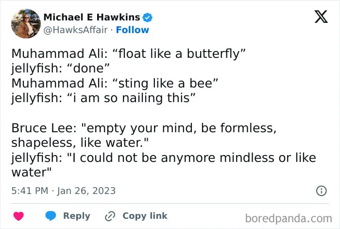 50 Innocent Jokes That Are Still Funny, As Shared On This Instagram Page