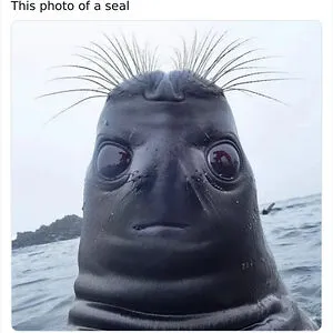 Be Weird 24/7