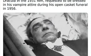 ‘Creepy Knowledge’: 45 Facts To Scroll Through In The Darkness