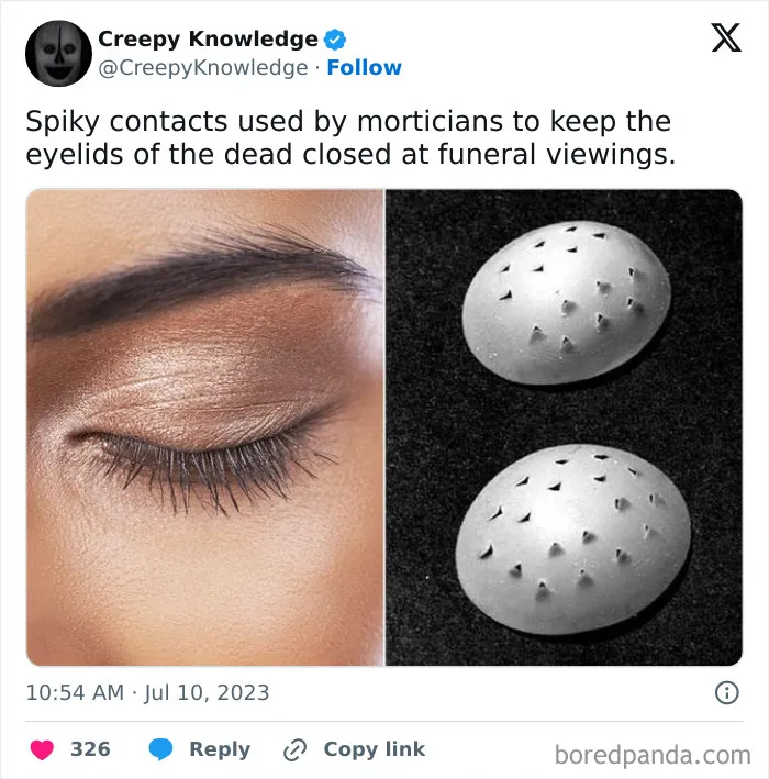 ‘Creepy Knowledge’: 45 Facts To Scroll Through In The Darkness