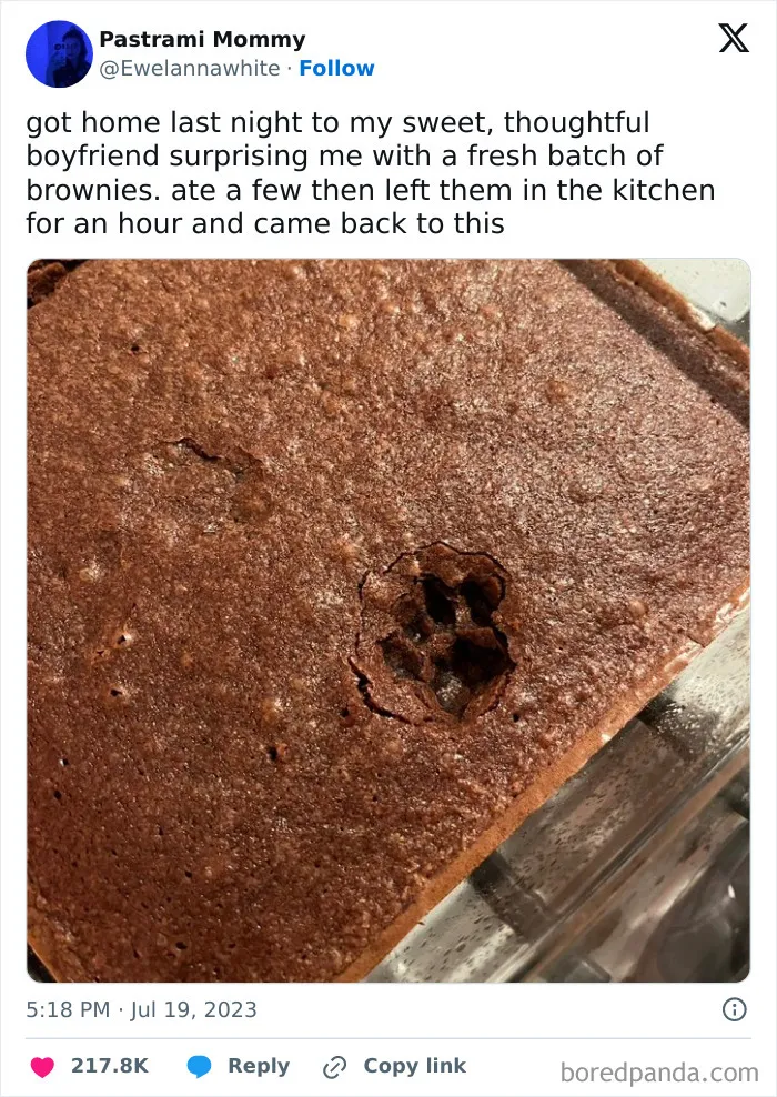 50 Chucklesome Memes That Make The Perfect Blend Of Animals And Comedy