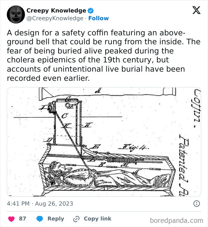 Creepy-Knowledge-Facts-Twitter