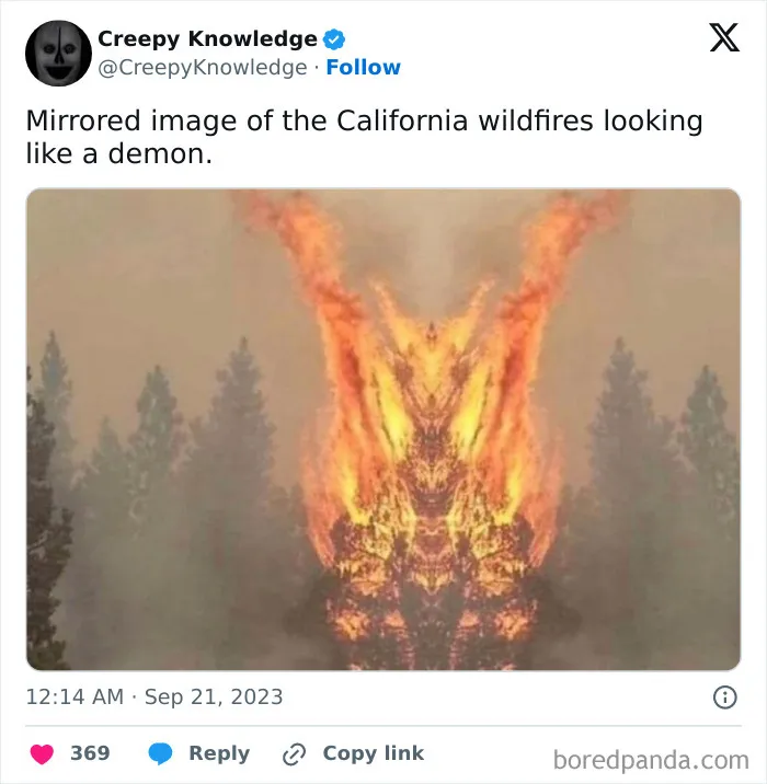 ‘Creepy Knowledge’: 45 Facts To Scroll Through In The Darkness
