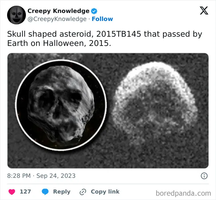 ‘Creepy Knowledge’: 45 Facts To Scroll Through In The Darkness