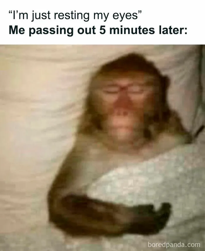 This IG Page Promises To “Heal Through Laughter”, Here Are 50 Memes That Do Exactly That