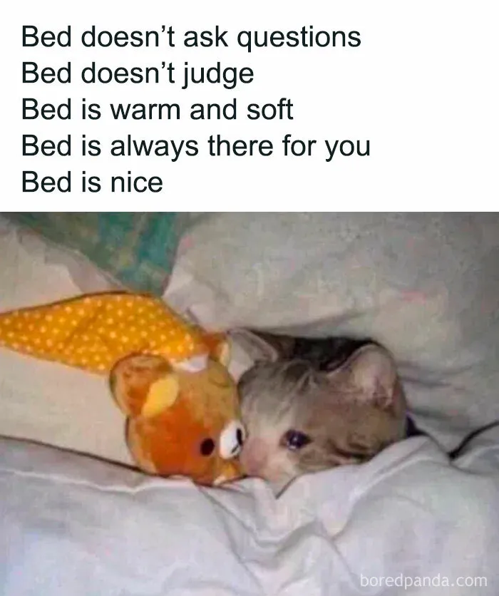 50 Spot-On Introvert Memes Shared By This Popular Instagram Account