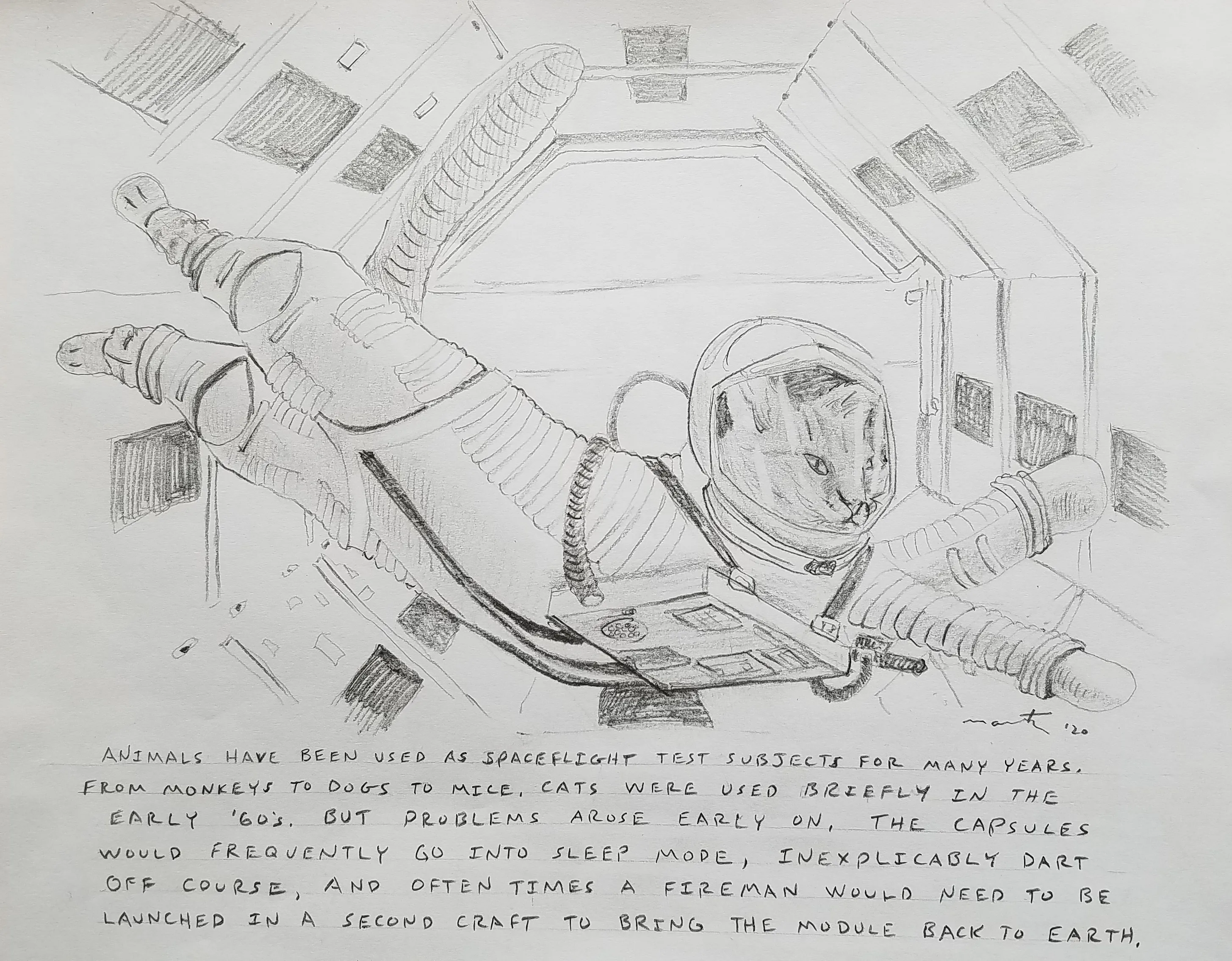 Cats In Space