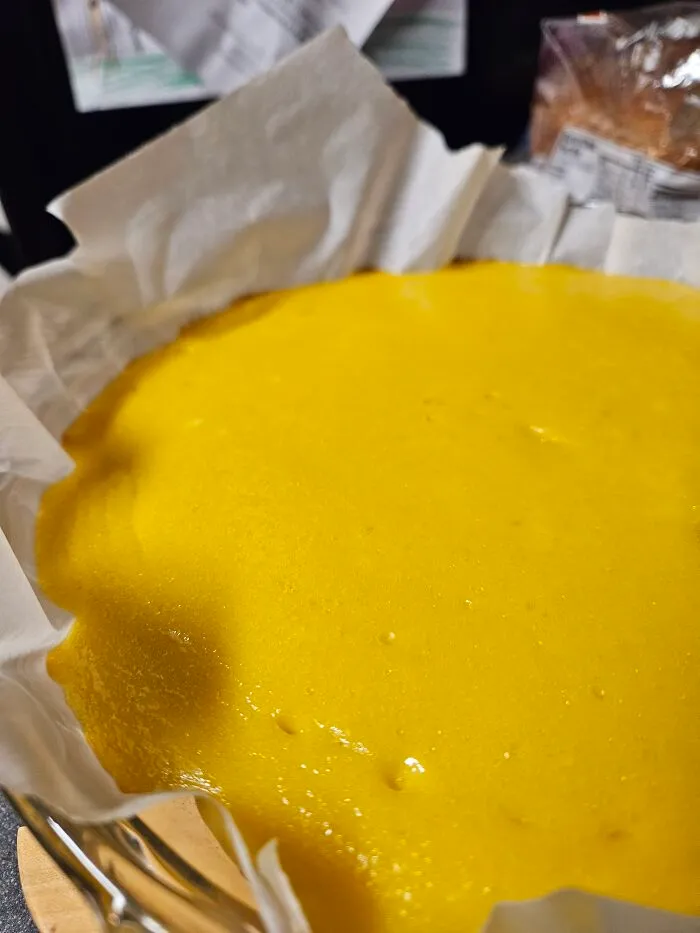 Mango Squares - Tasted Like Eggs 😭