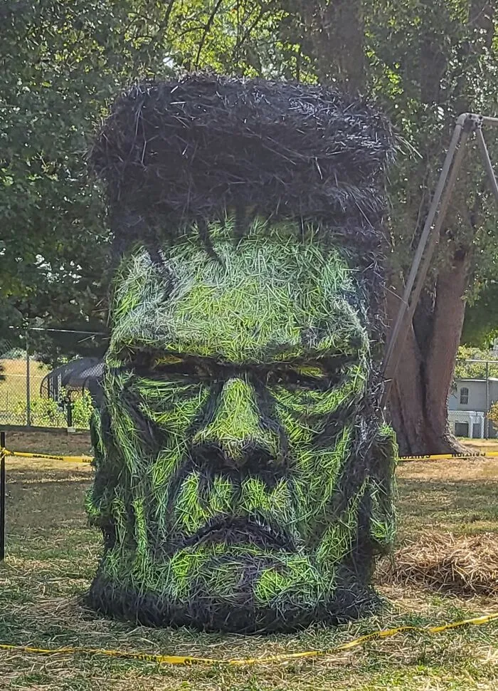 Frankenstein's Monster
