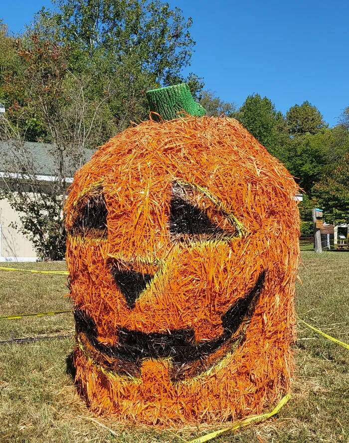Jack O'lantern