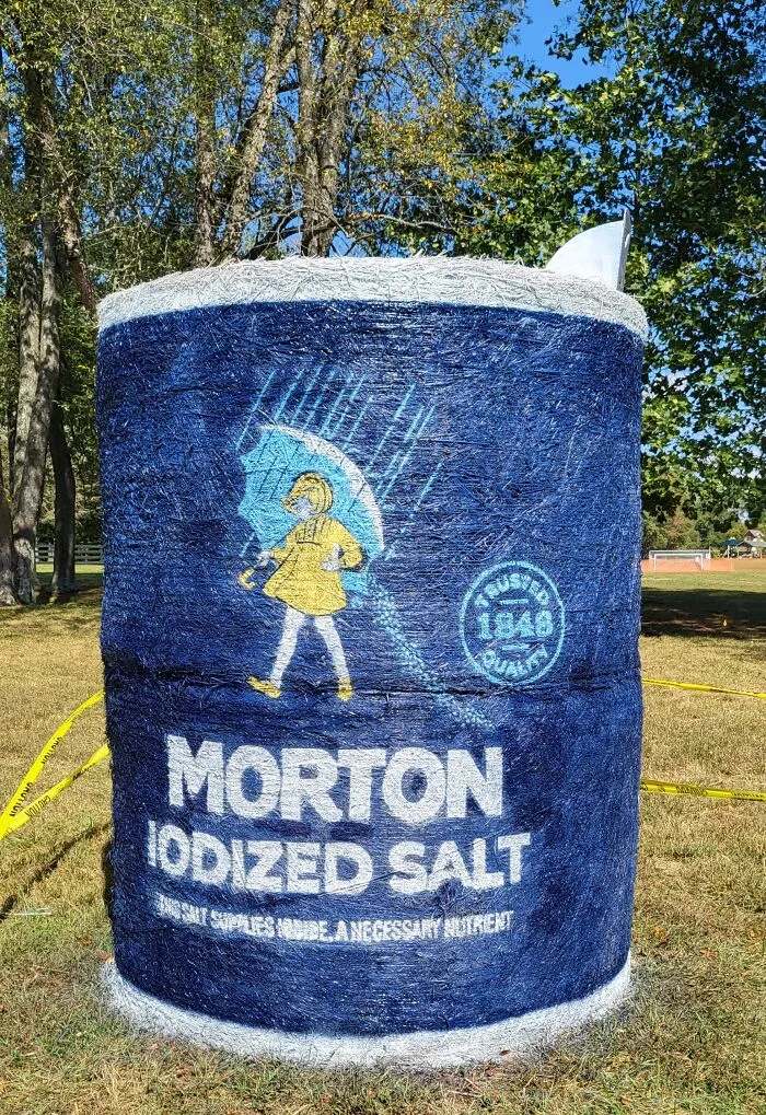 Morton Salt Container