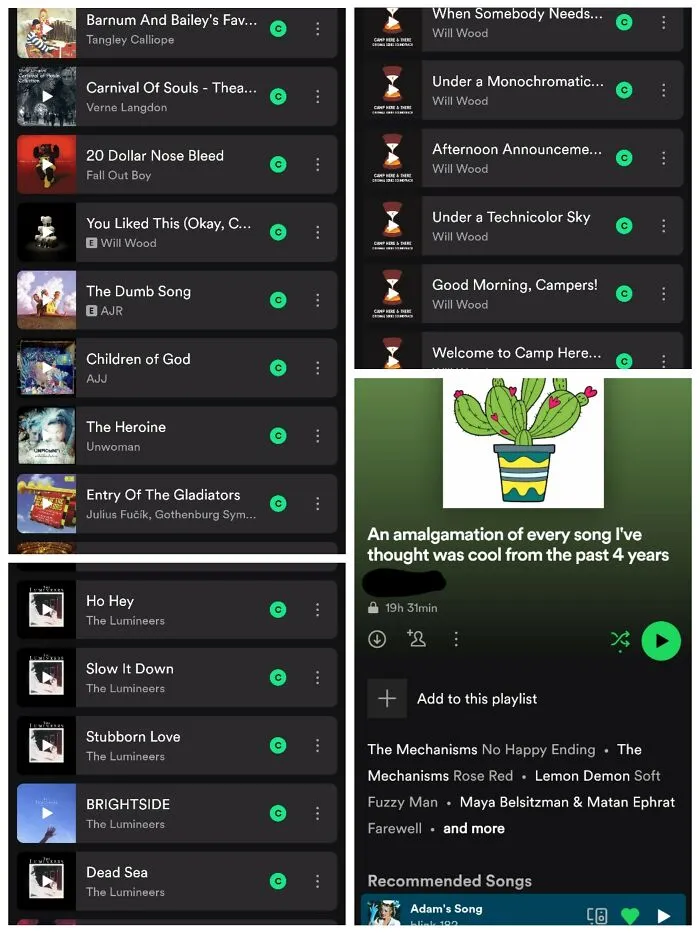 I've Got One Playlist I Use For All The Music I Like, There's So Many Songs On There, And Points Where I Added Pretty Much Entire Albums. It's Got A Wide Variety Of Genres