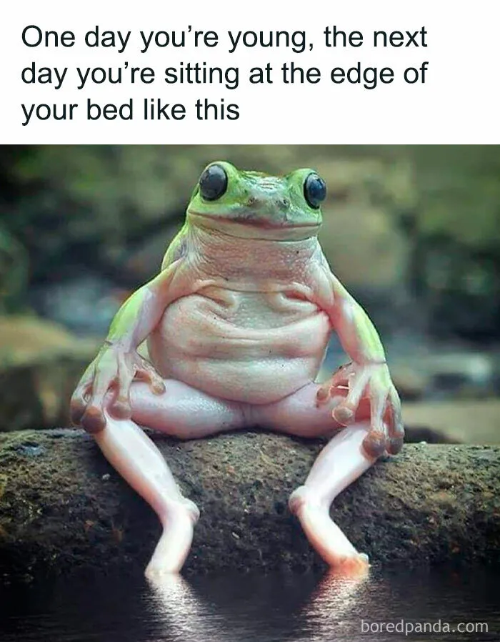 50 Spot-On Introvert Memes Shared By This Popular Instagram Account