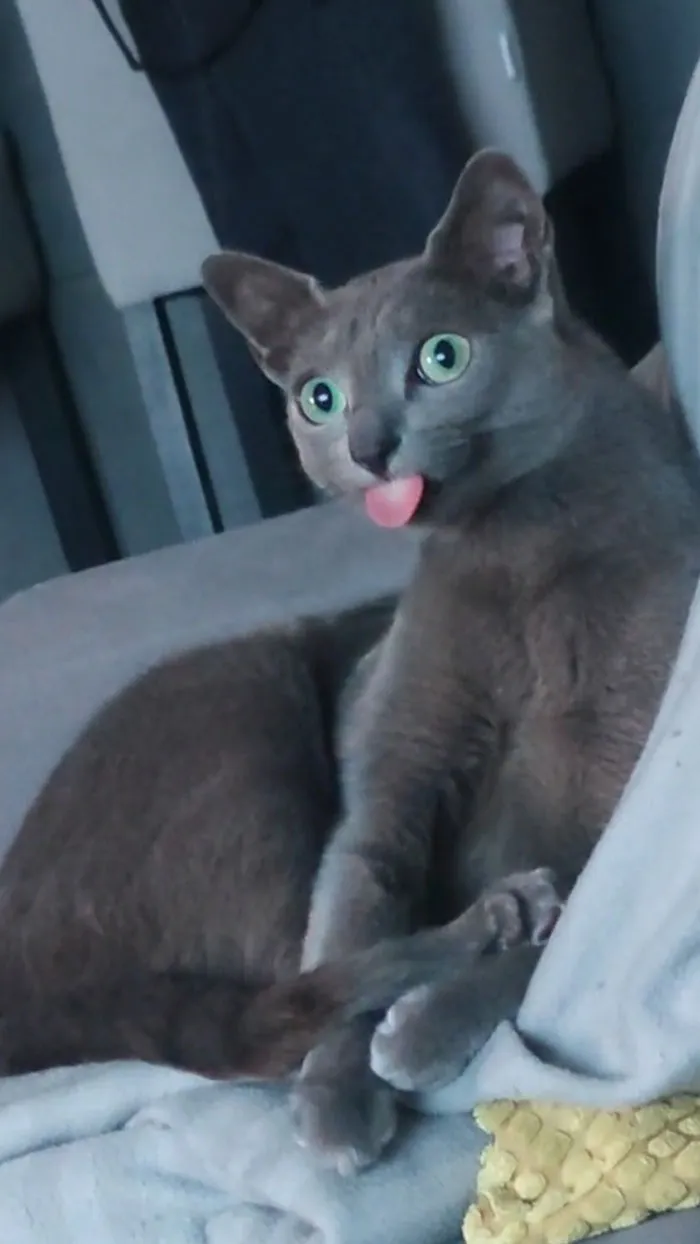 Look At My Son
