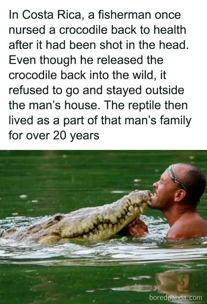 50 ‘Unbelievable Facts’ To Help You Ace Trivia Night (New Pics)