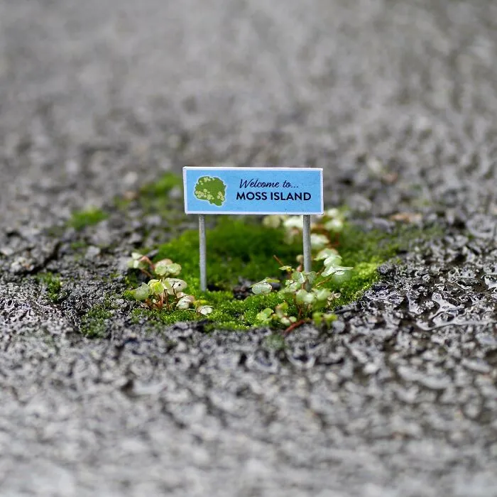 Este artista deja divertidos carteles por la ciudad para que la gente los encuentre