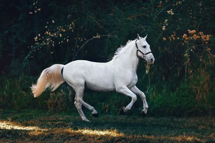 30 Expensive Hobbies People Still Choose To Invest In, As Shared Online