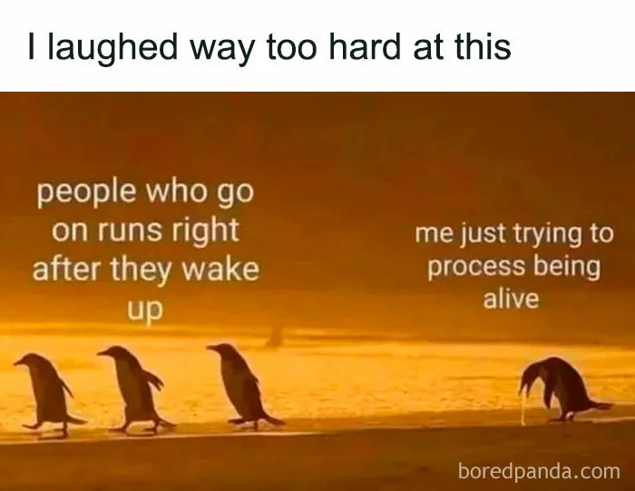 This IG Page Promises To “Heal Through Laughter”, Here Are 50 Memes That Do Exactly That
