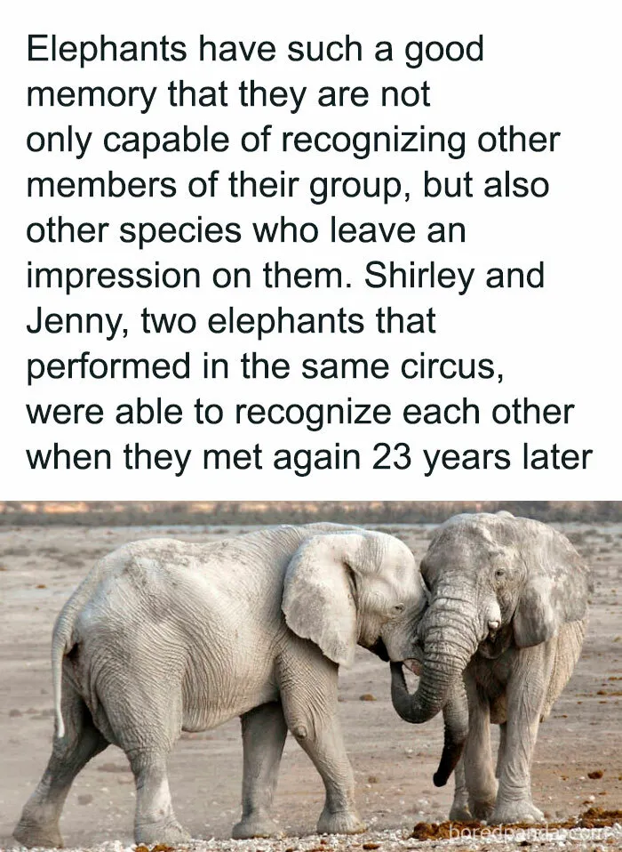 50 ‘Unbelievable Facts’ To Help You Ace Trivia Night (New Pics)
