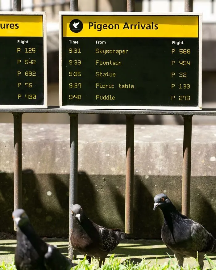 Este artista deja divertidos carteles por la ciudad para que la gente los encuentre