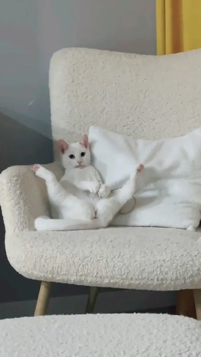 Best Pose