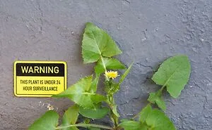 Artist Places Funny Signs In His City And They Look Like Art Installations (28 New Pics)