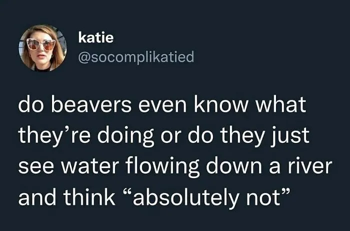 50 Innocent Jokes That Are Still Funny, As Shared On This Instagram Page