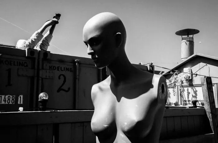 30 Pictures Taken By This Belgian Photographer Who Is Embracing "The Absurd Human Condition" (New Pics)