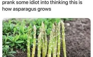 50 Innocent Jokes That Are Still Funny, As Shared On This Instagram Page