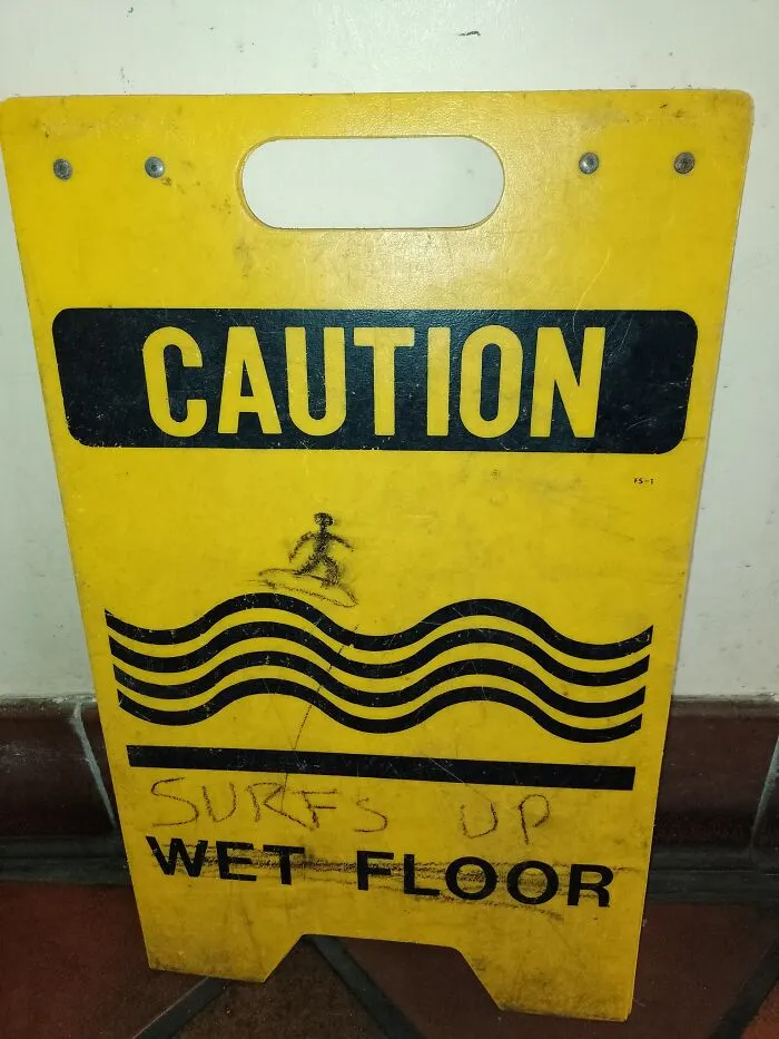 Look Out Dudes!