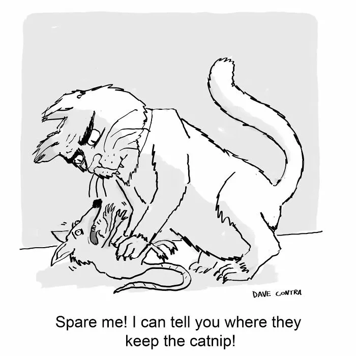 35 Funny, Dark And Twisted New Comics By Dave Contra (New Pics)