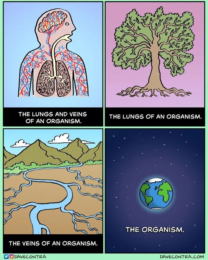 35 Funny, Dark And Twisted New Comics By Dave Contra (New Pics)