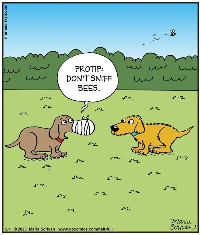 40 Funny Situations Illustrated By This Artist In A Lighthearted Comic Series (New Pics)