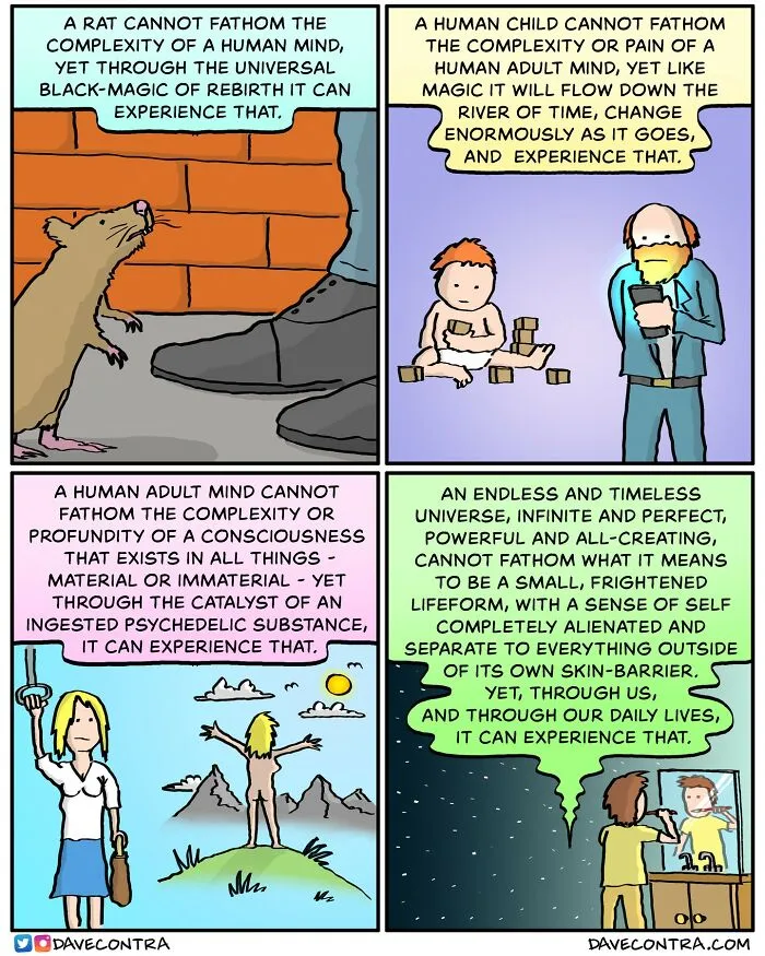 35 Funny, Dark And Twisted New Comics By Dave Contra (New Pics)