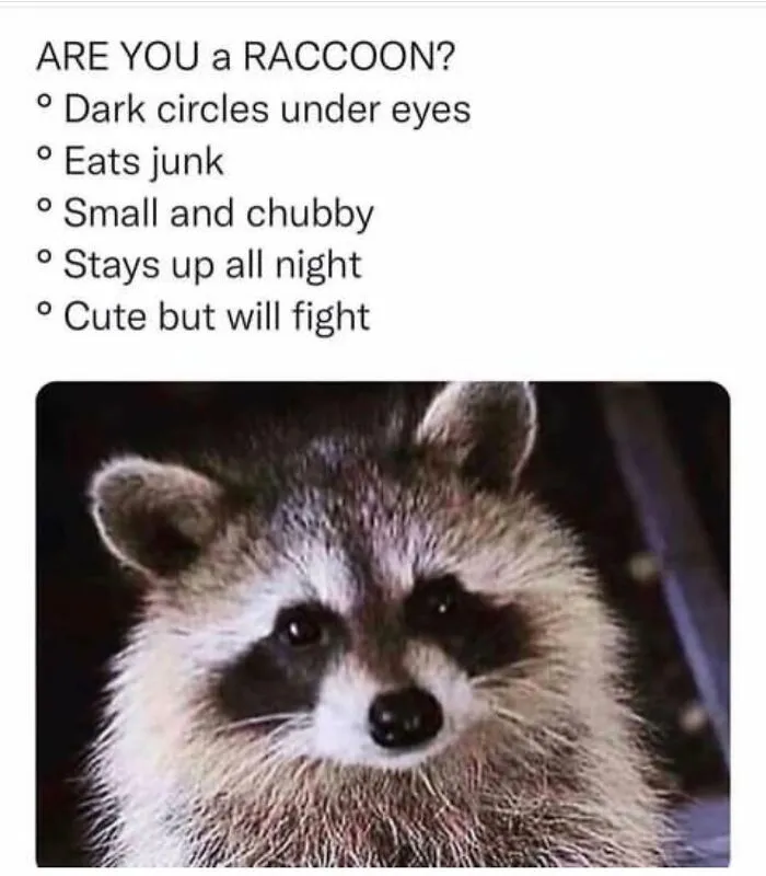 Hilarious-Animal-Memes