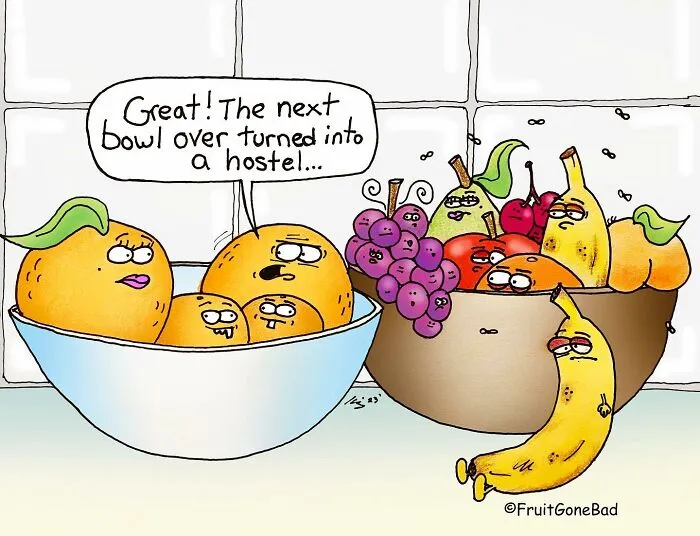 33 Funny And Slightly Inappropriate Comics From ‘Fruit Gone Bad’ (New Pics)