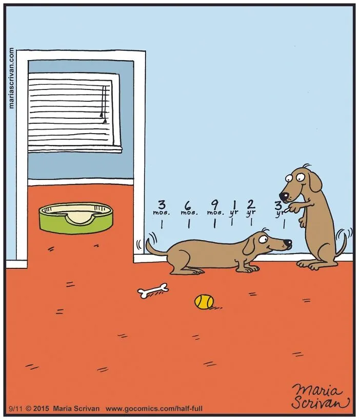 40 Funny Situations Illustrated By This Artist In A Lighthearted Comic Series (New Pics)
