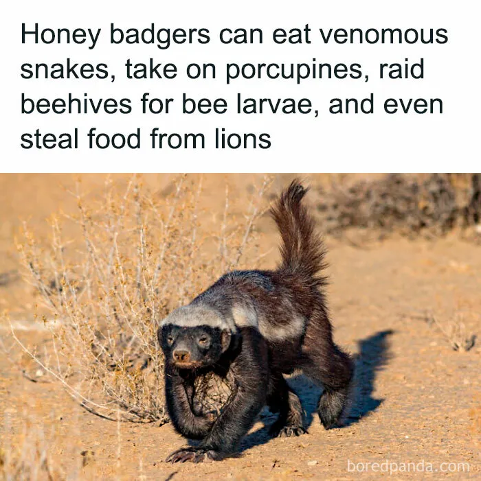 50 ‘Unbelievable Facts’ To Help You Ace Trivia Night (New Pics)