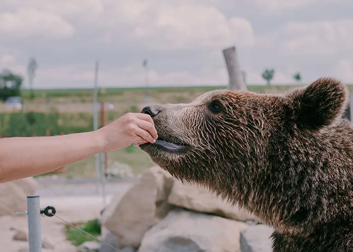 “What Should People Absolutely Not Do When Visiting Your Country?” (45 Answers)