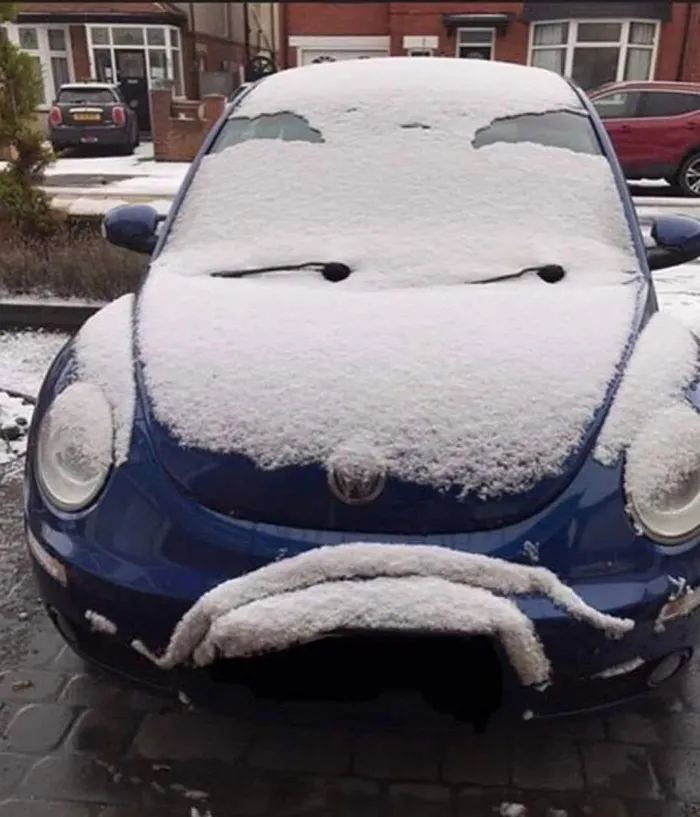 40 Funny Examples Of Regular Objects Suddenly Showing Human Characteristics