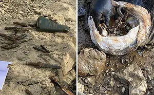 50 Times People Found Such Weird And Surprising Things, They Just Had To Share The Proof (New Pics)