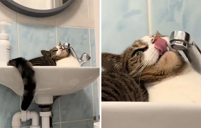 The Water Isn't Running